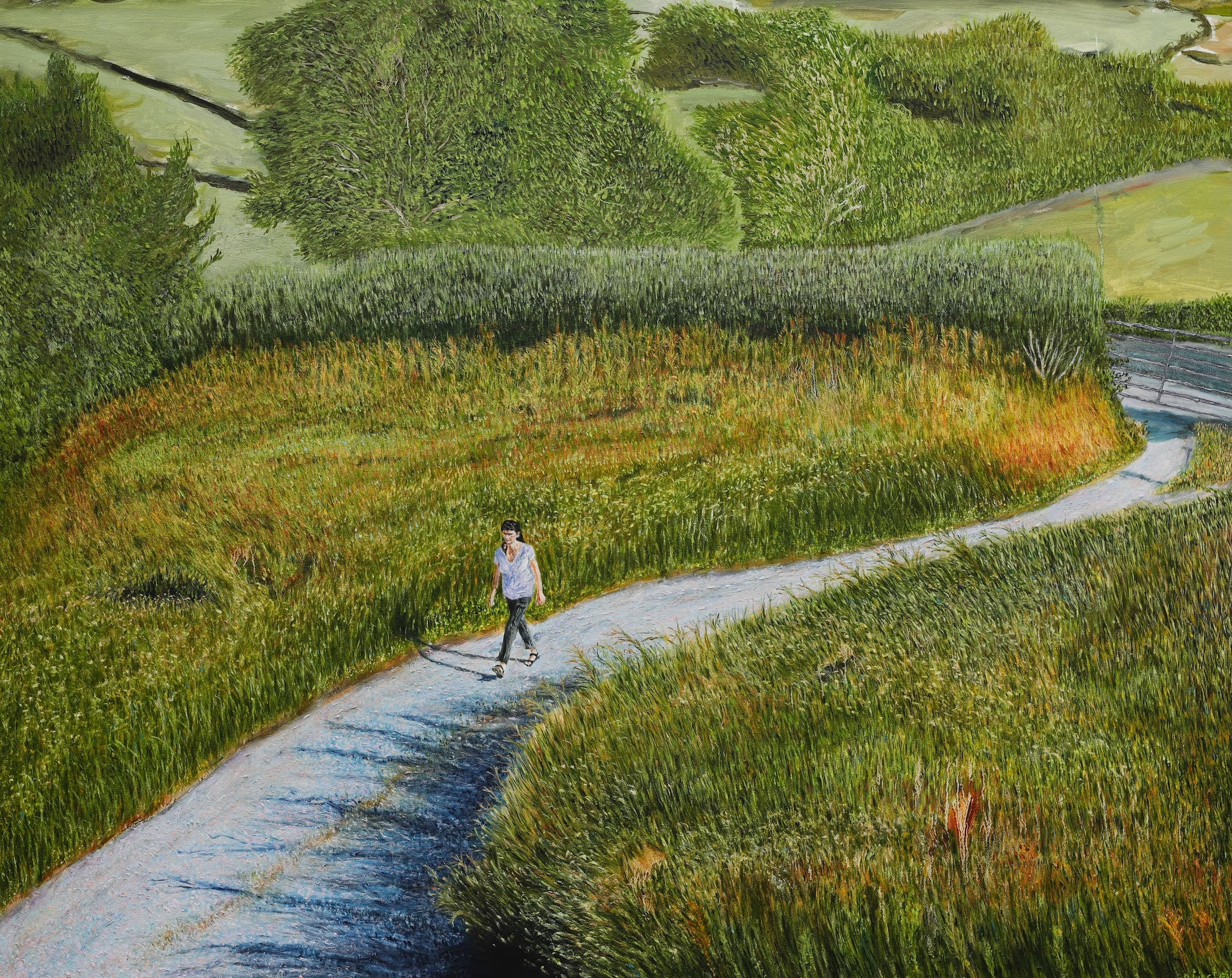 Intimate Landscapes