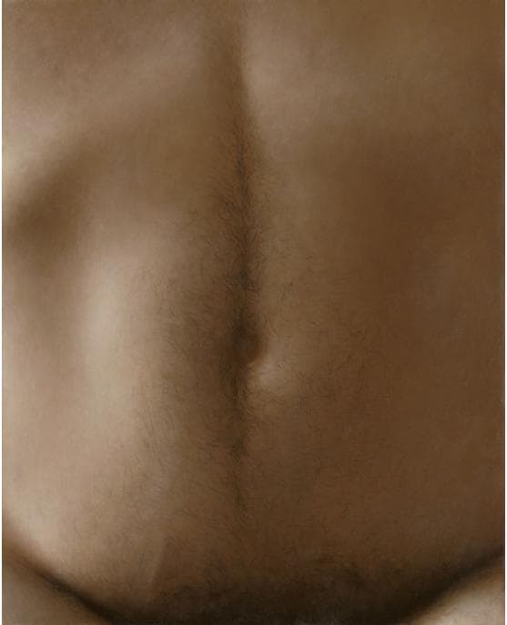 Stomach