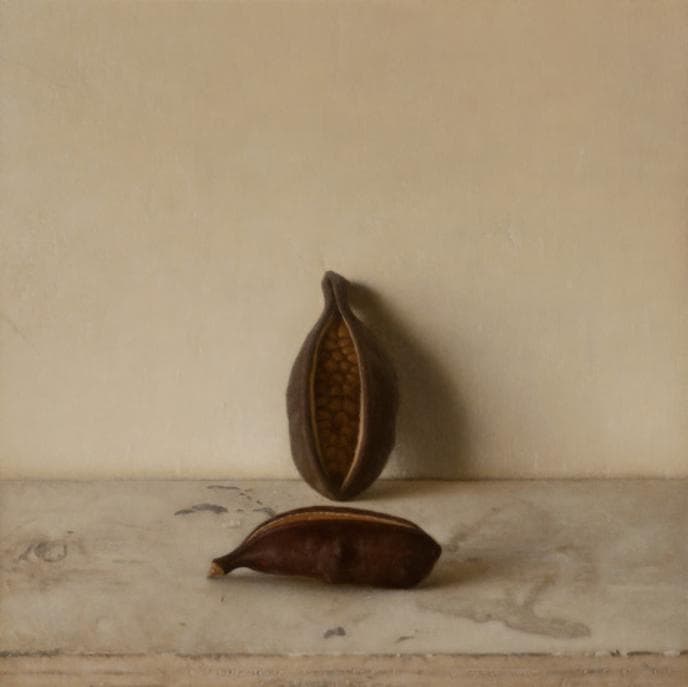 Seed Pods