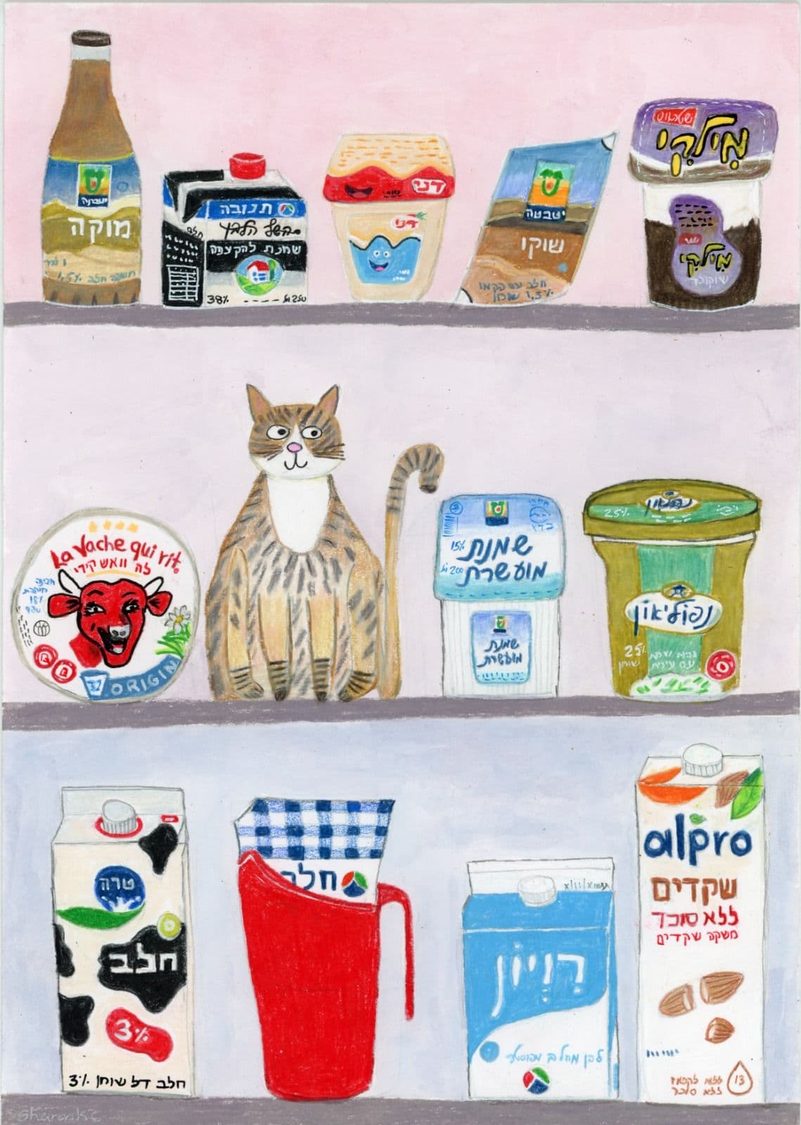 Cat in My Pantry 2