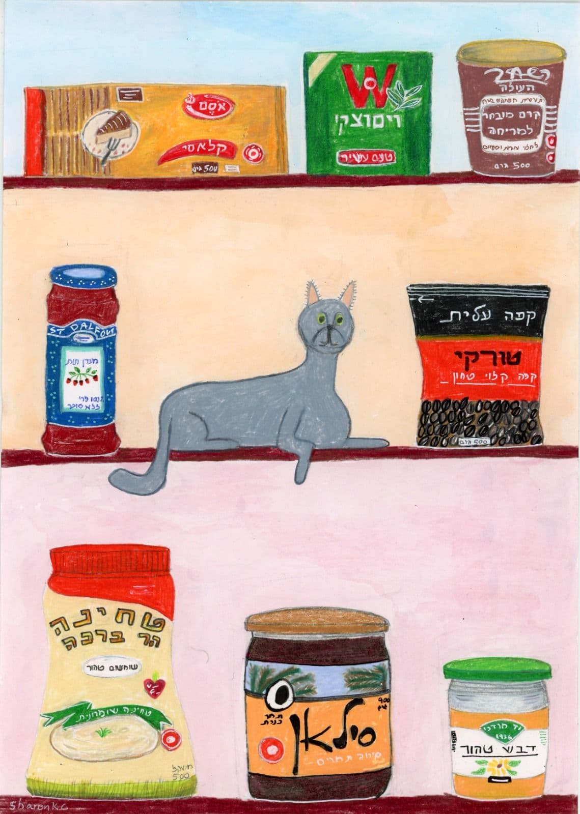 Cat in My Pantry 1