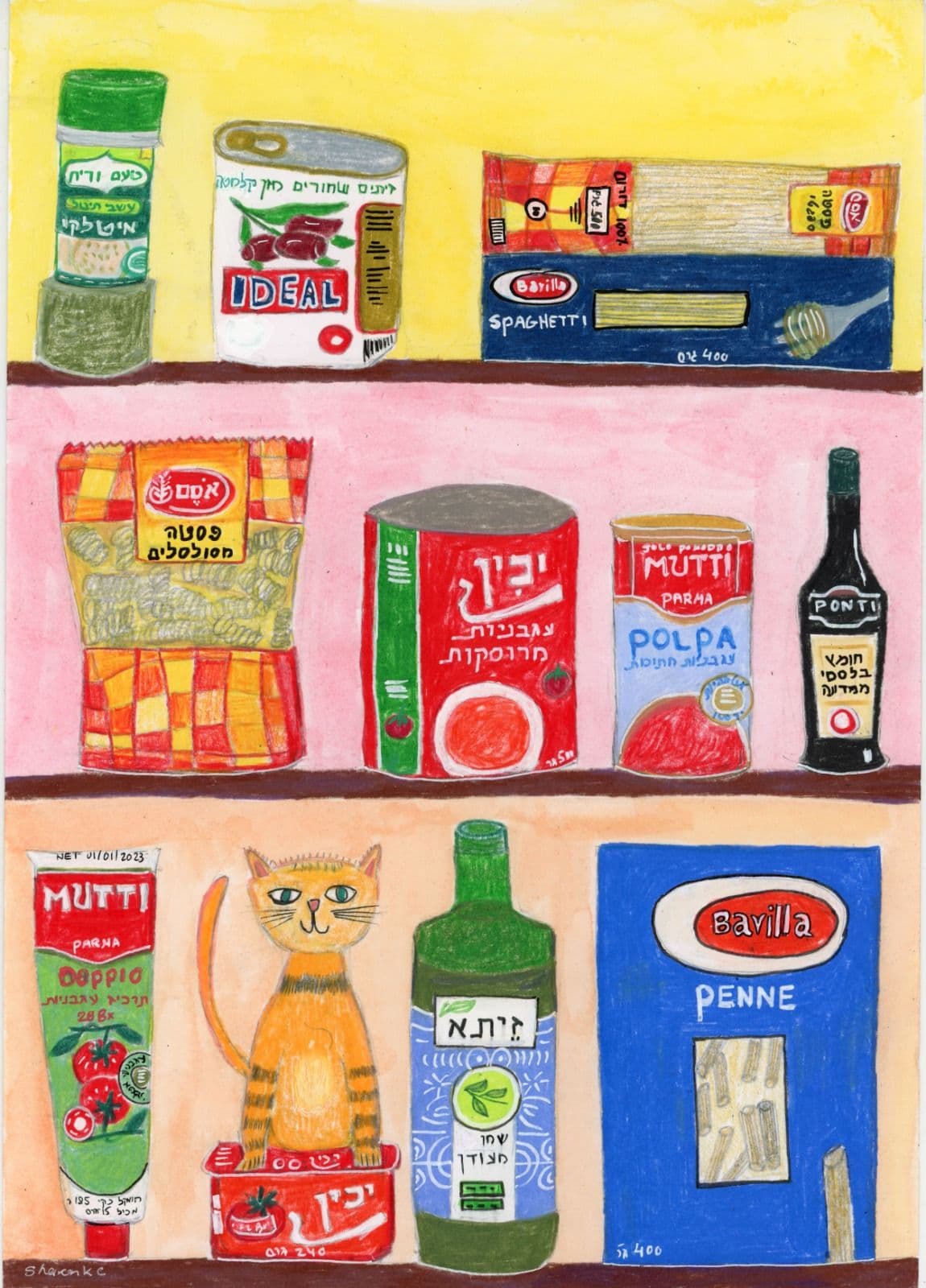 Cat in My Pantry 3