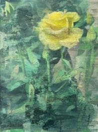Yellow Rose