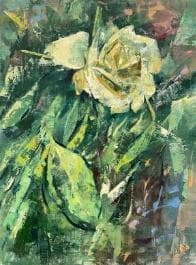 White Rose