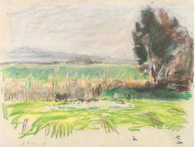 View from the Studio