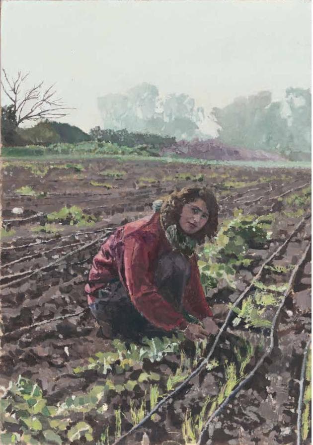 Noga Planting Onions