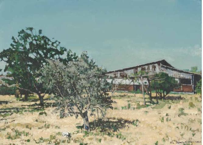 Young Olive in the Orchard