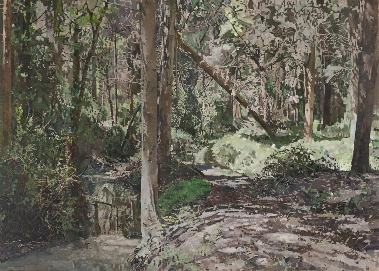 As If It's Europe - JNF forest in Gahar Stream