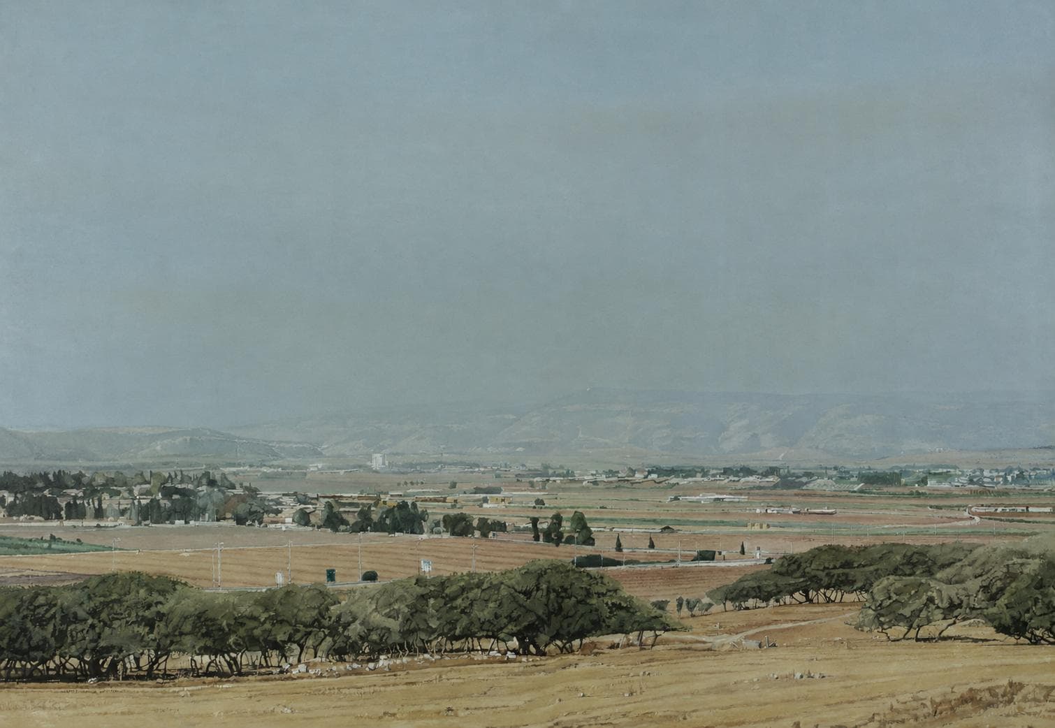 Jezreel Valley from Shimron Hills