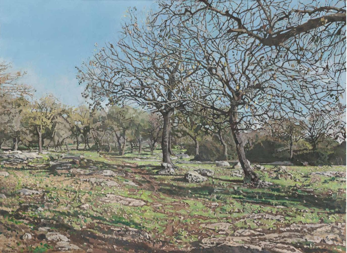 Oak Grove with a Bedouin Sheperd