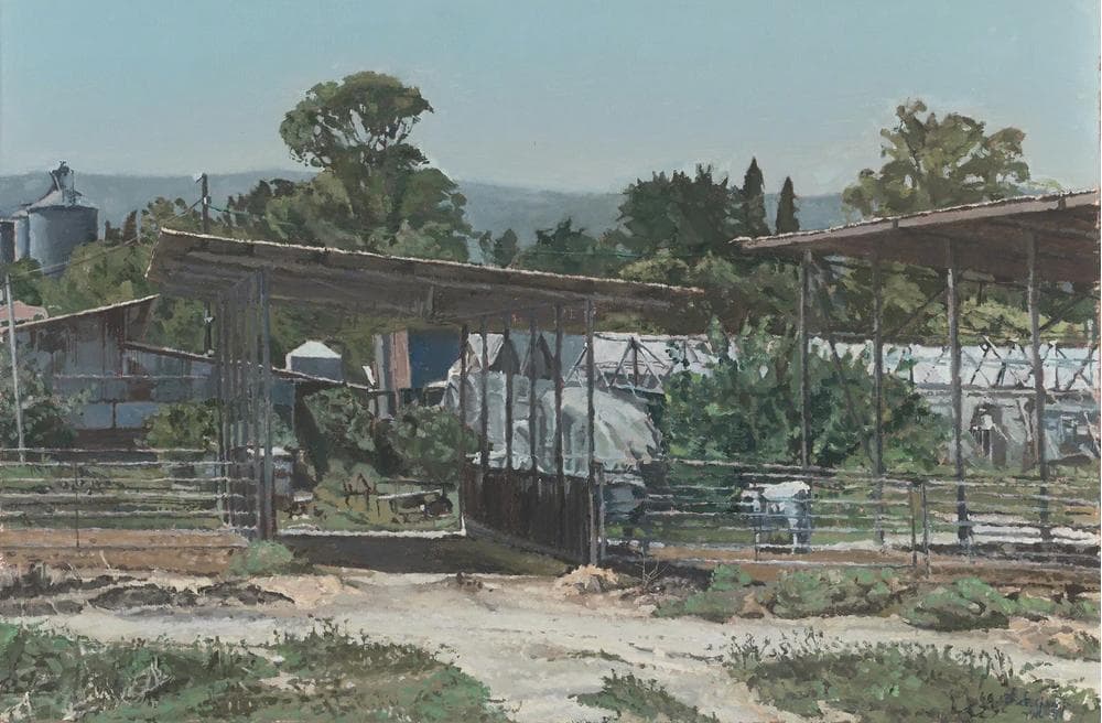 Sheds