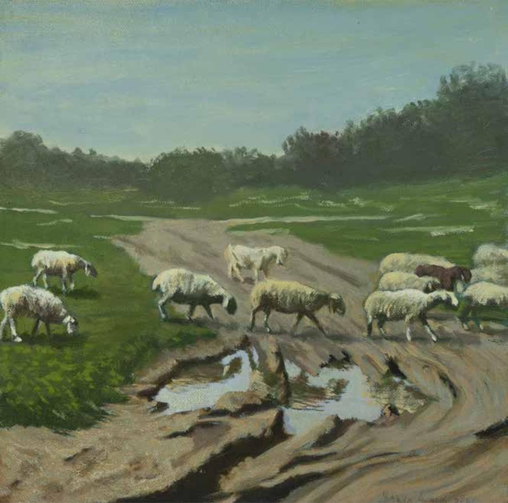 Sheep and Puddle in Ben Shemen Forest