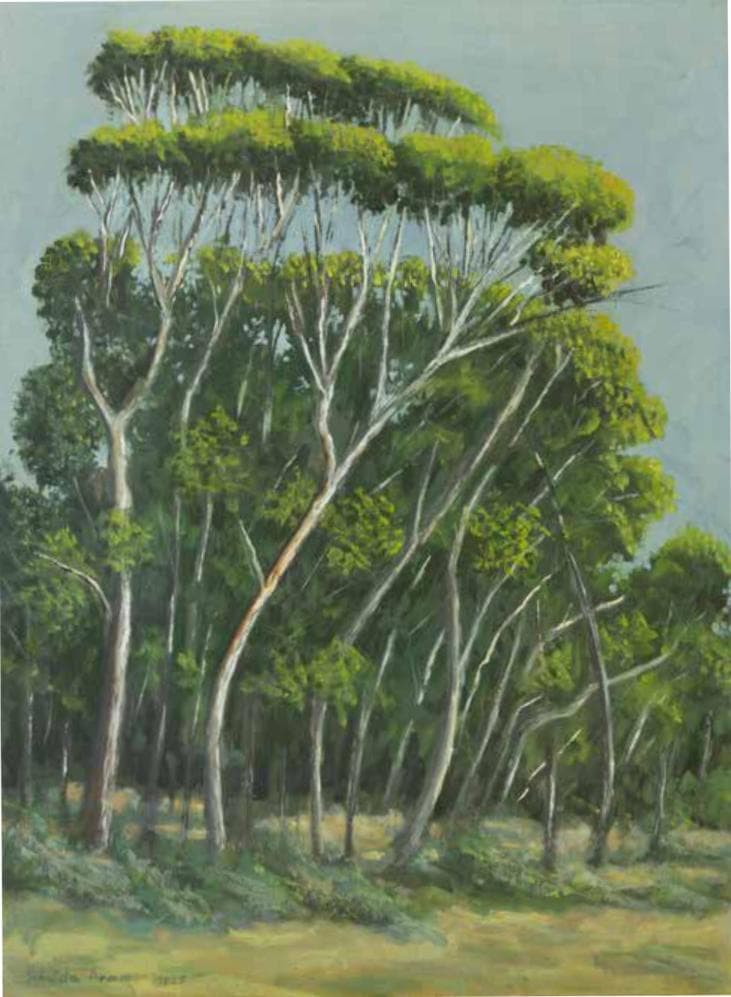 Trees in Malachim Forest