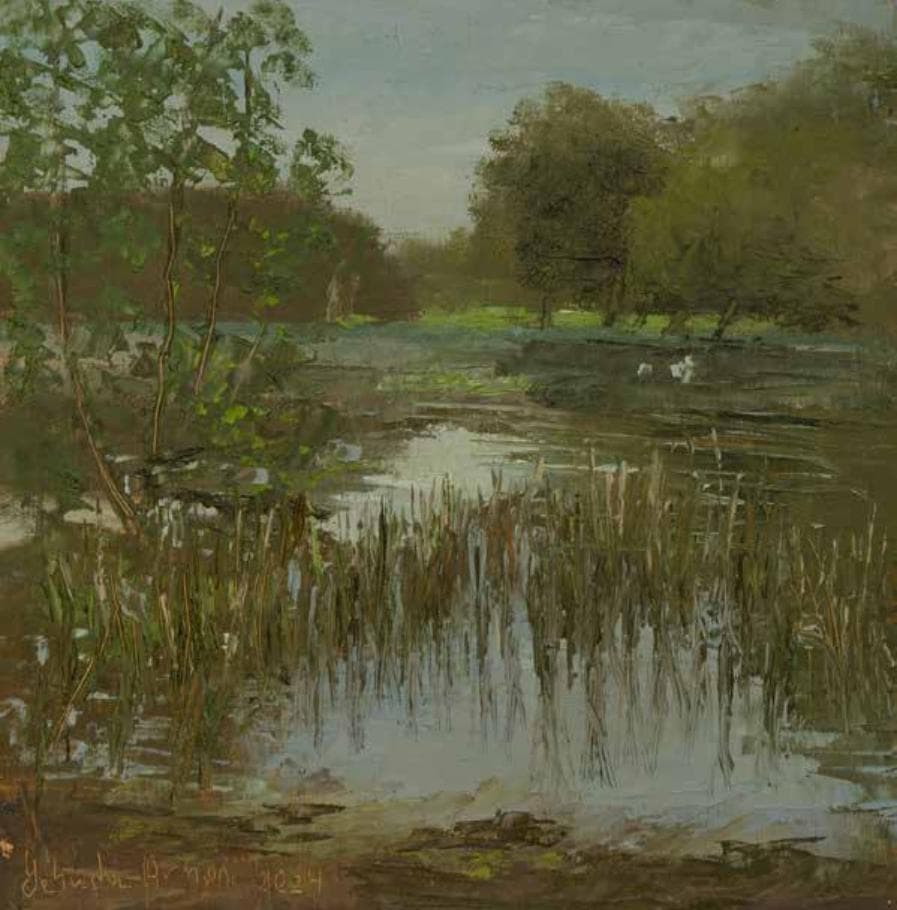 Vegetation in Winter pond in Netanya