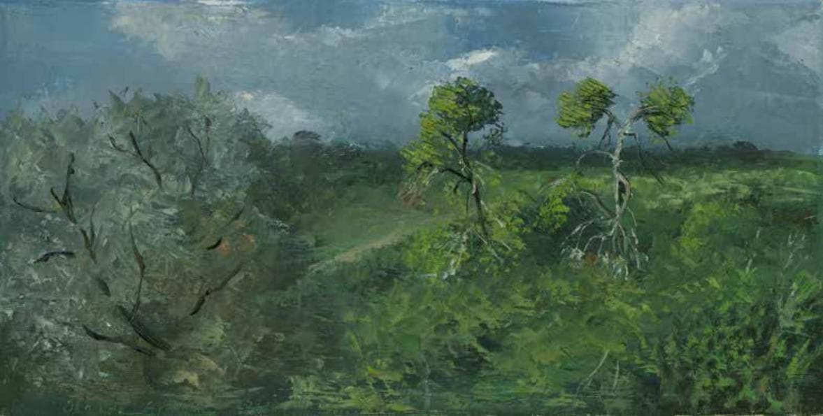 Thicket in Ramot Menashe