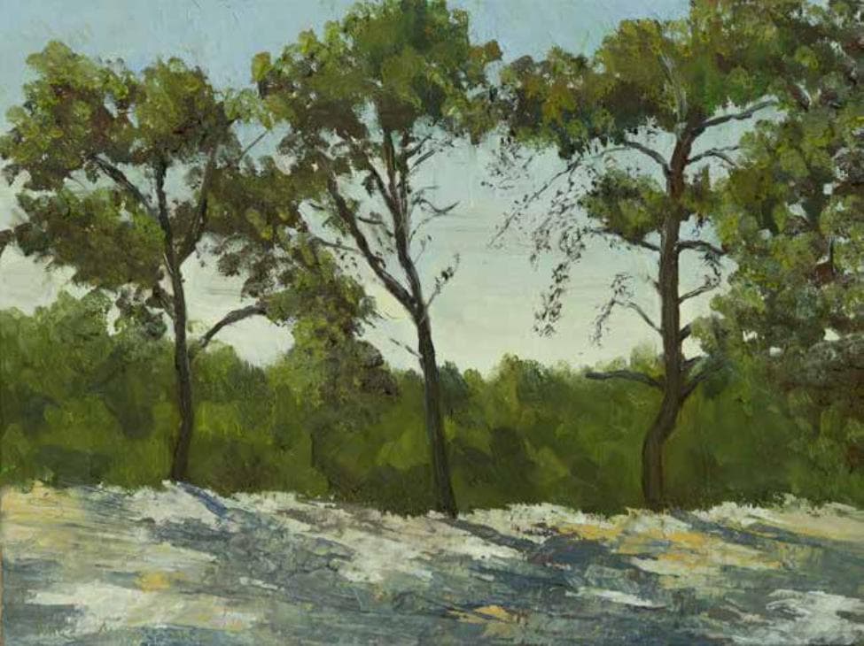 Trees and Rocks near Hadid