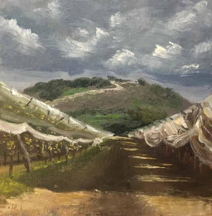 Vineyard in front of Hirbet Jadie