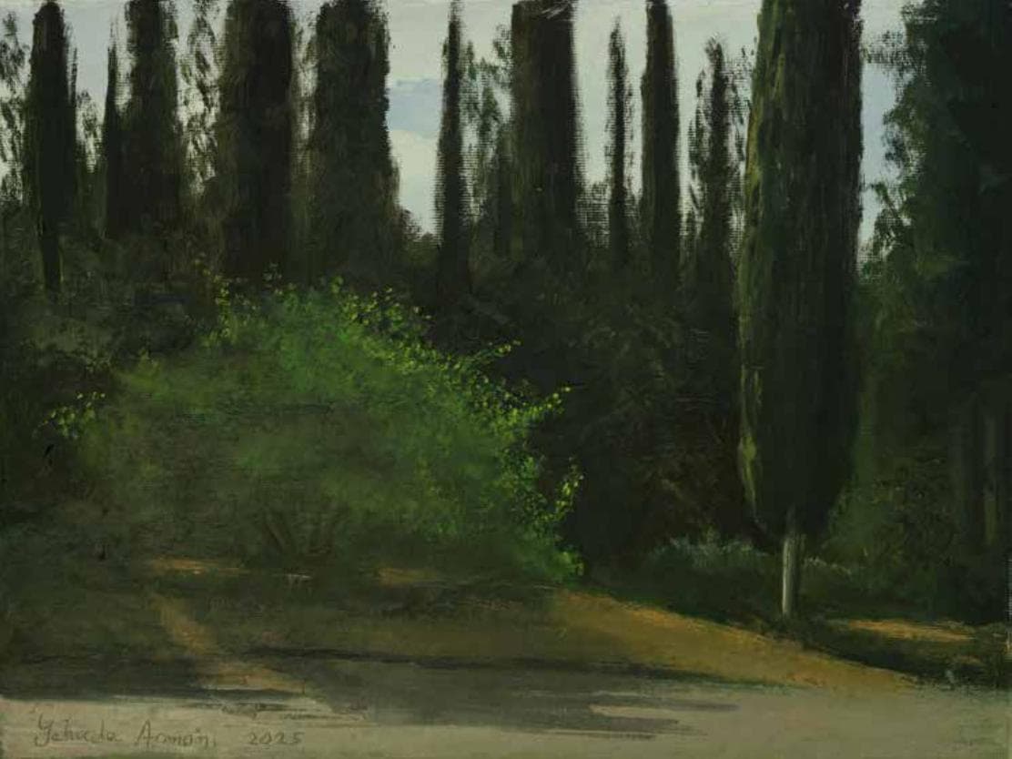 Twilight in Ben Shemen Forest