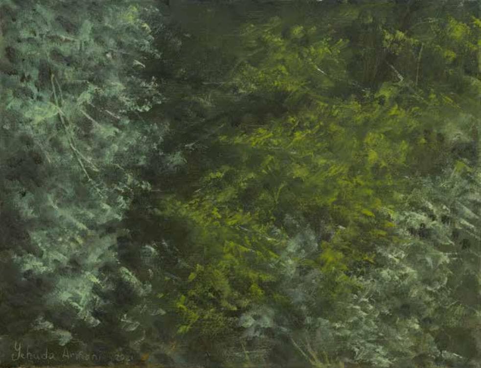 Thicket in Canada Park