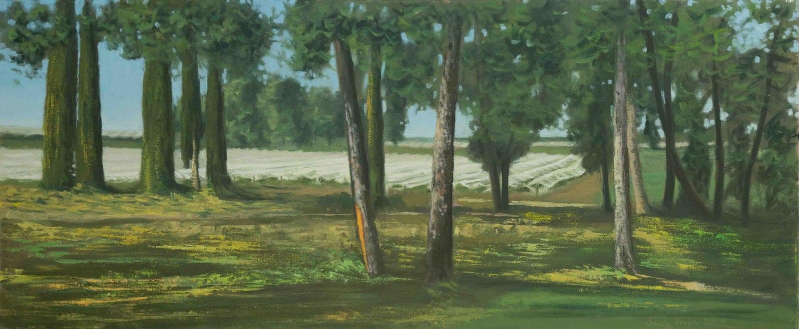 Grove and Vineyard in Lachish