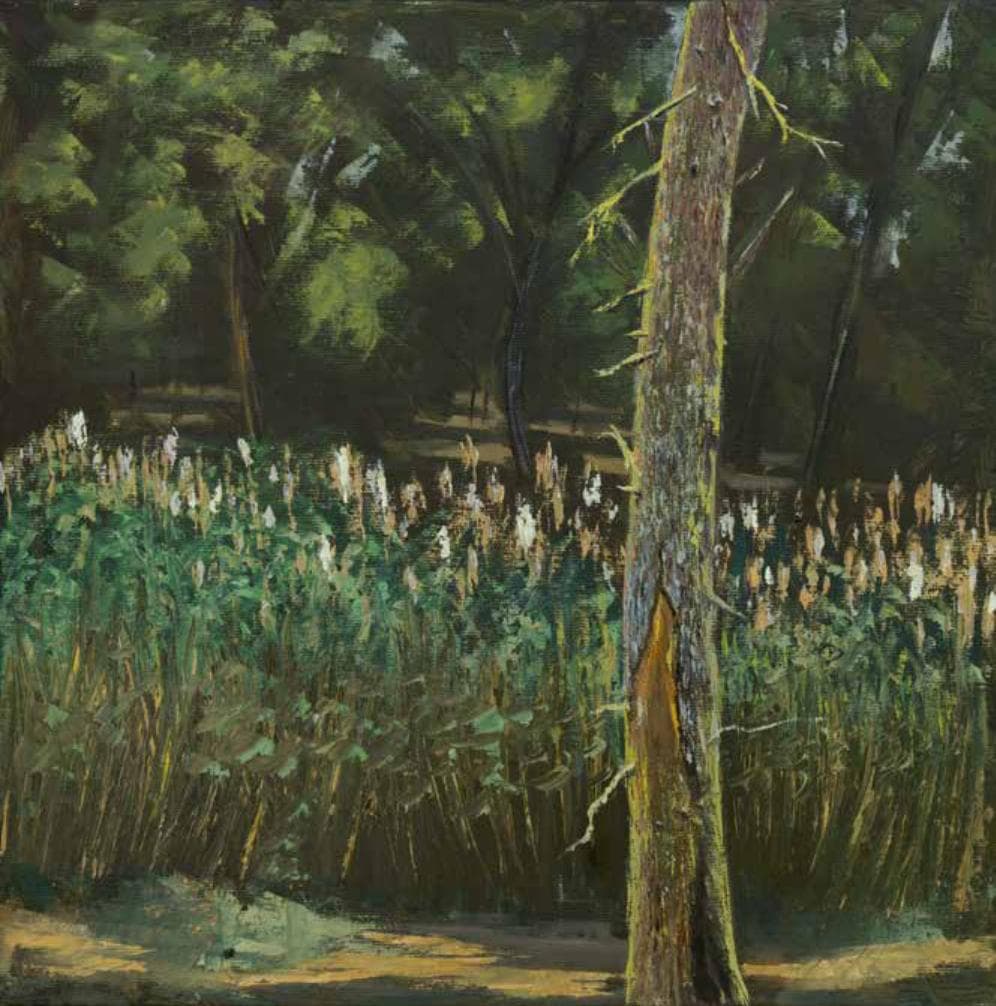 Shishkin in the Lachish Stream