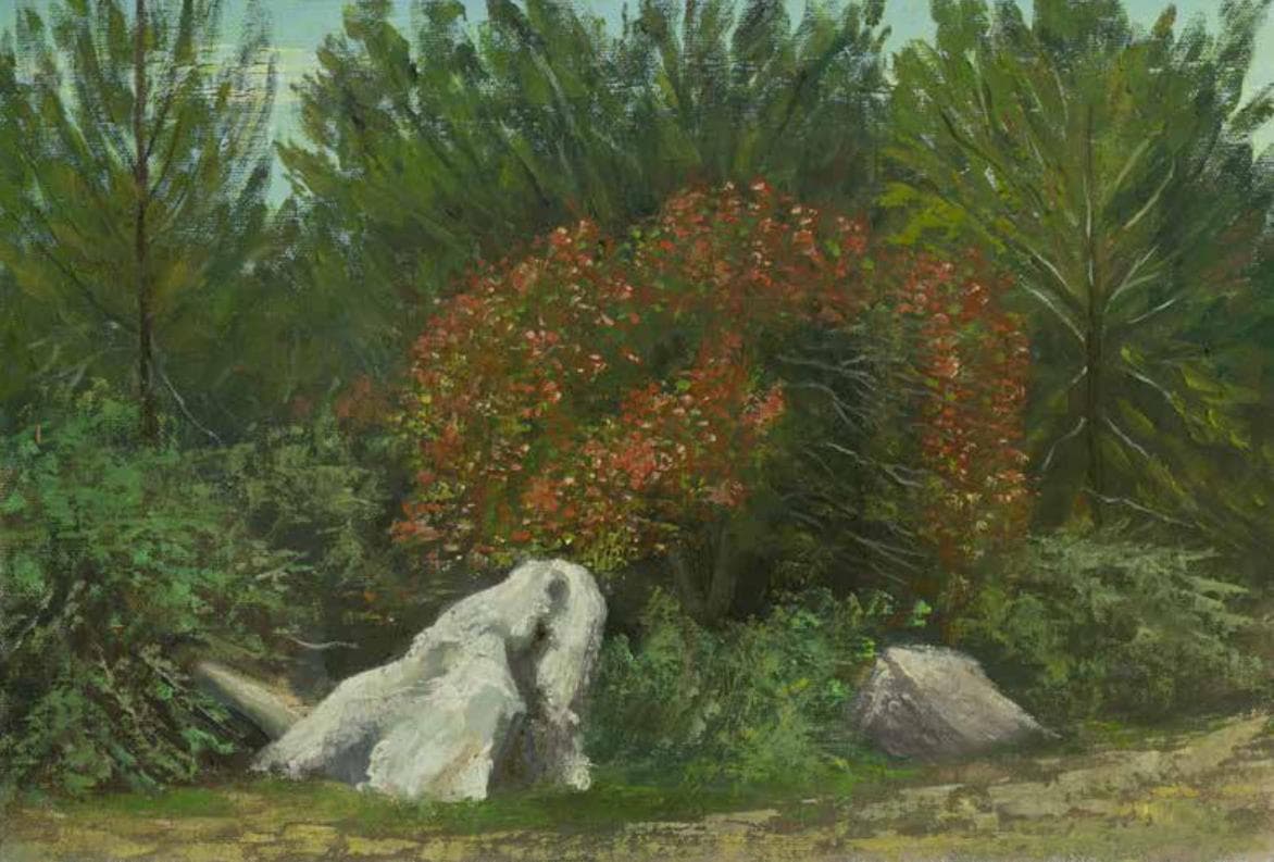 Red in Ben Shemen Forest