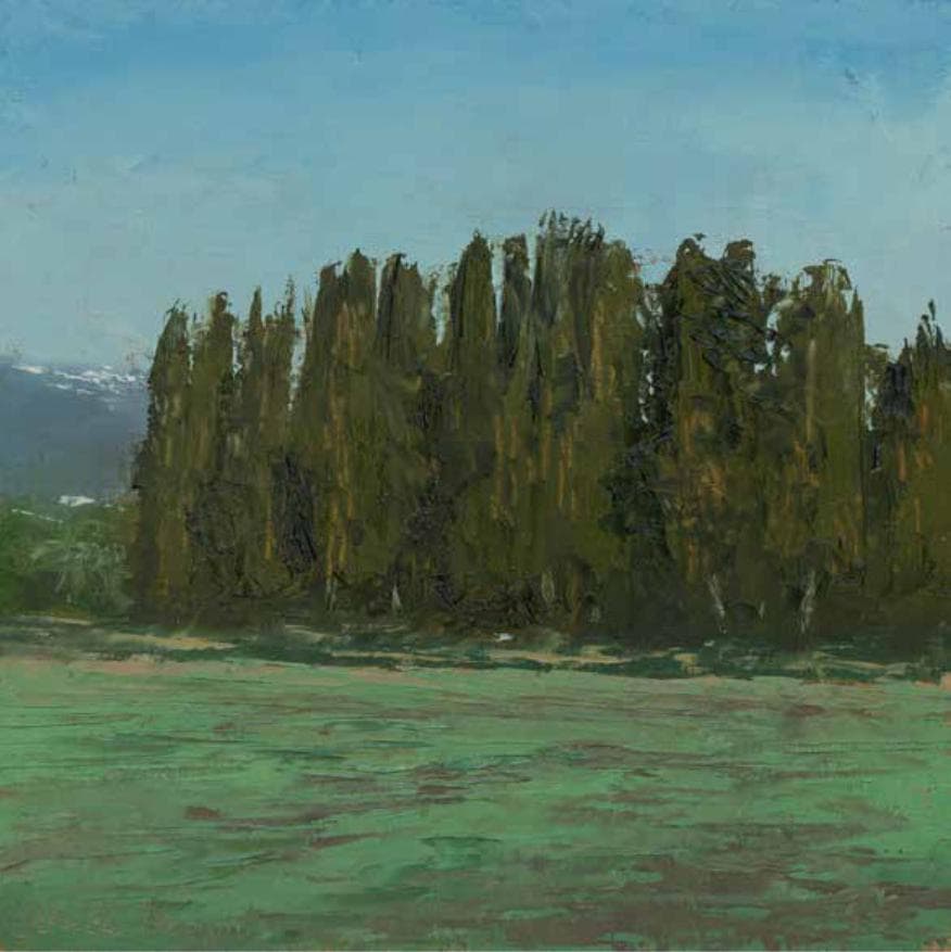 Trees near Ramat Yishay