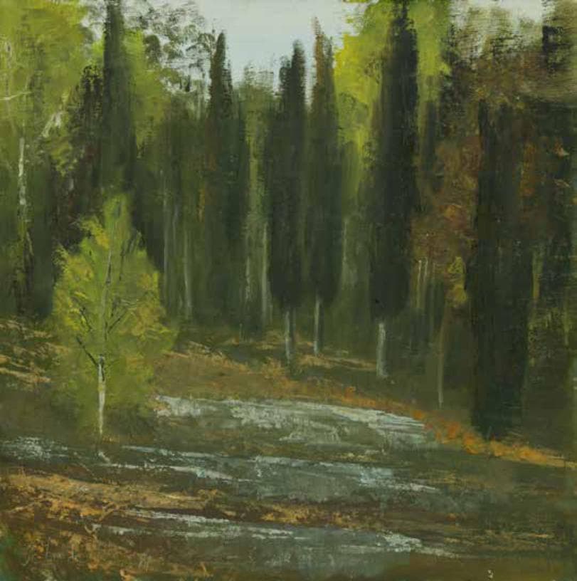 Ben Shemen Forest and Rocks