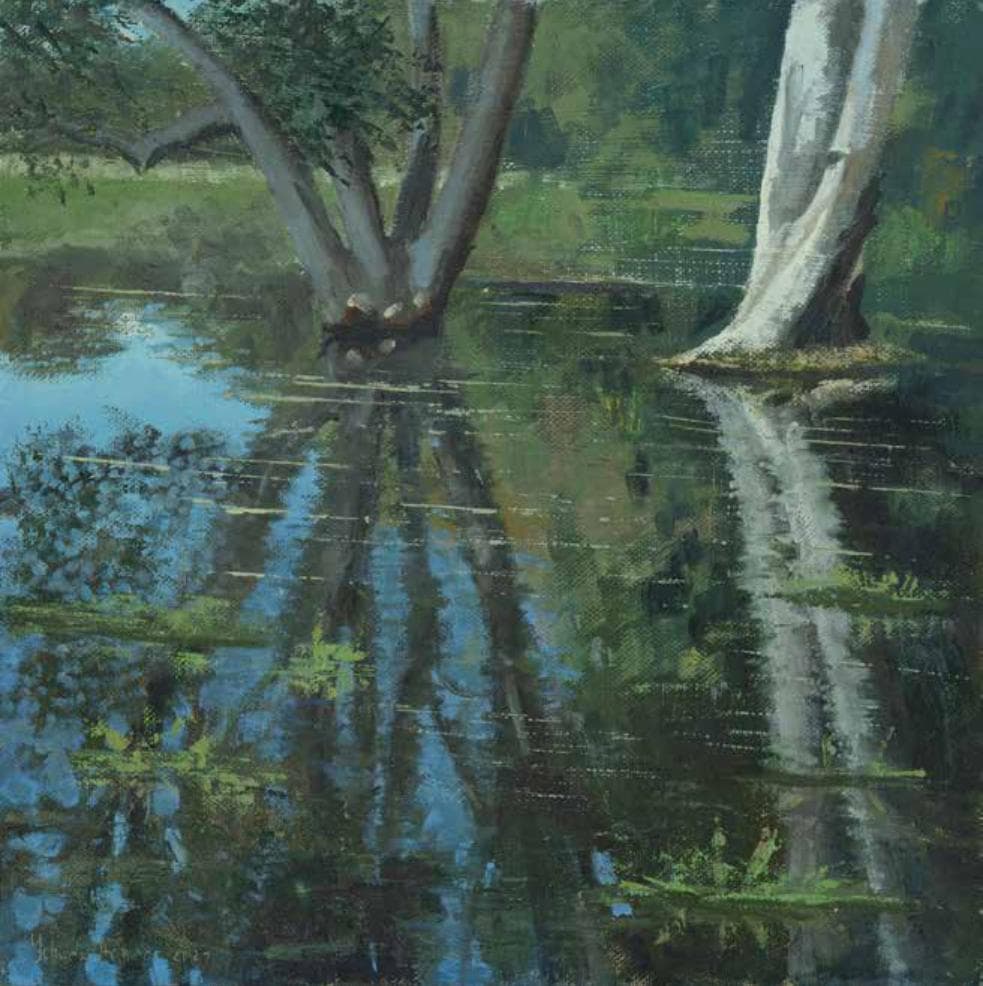 Winter Pond in Netanya