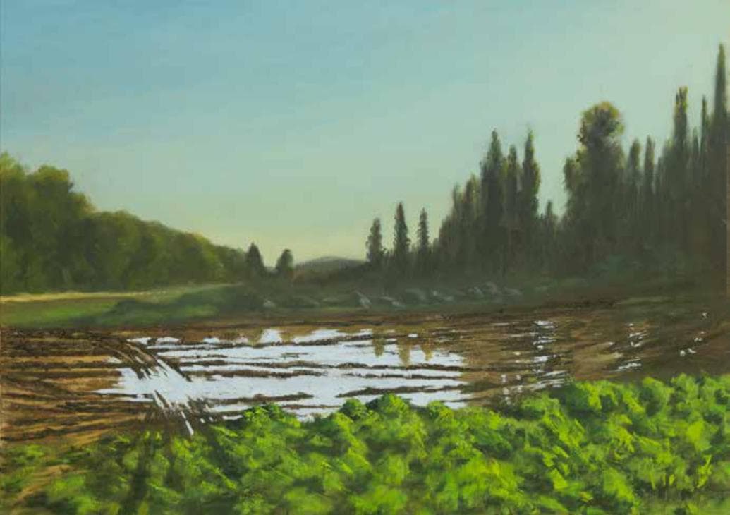 Winter Pond in Ben Shemen