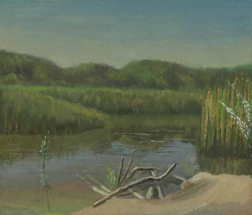 Winter Lake in Nitzanim