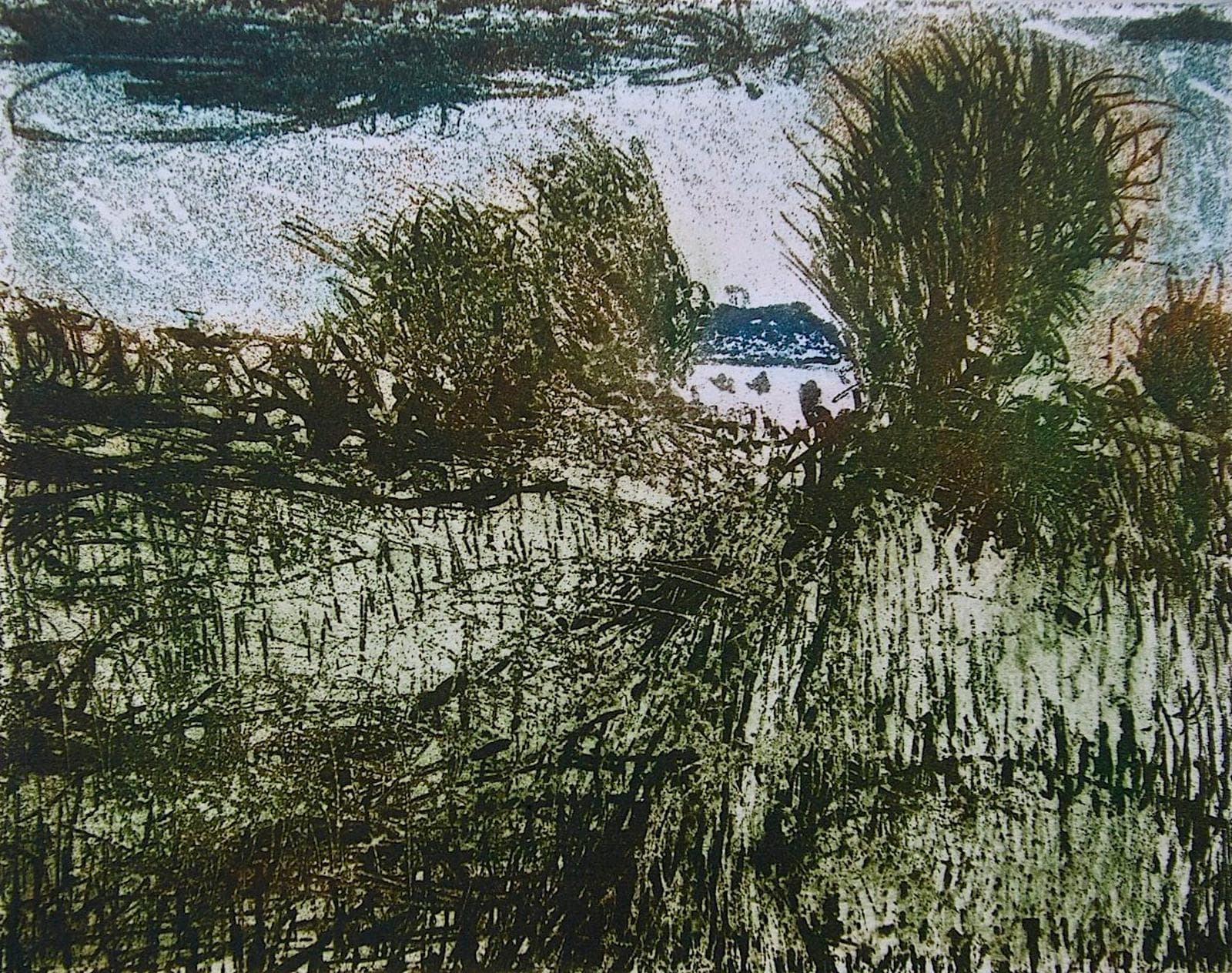 Monasterevin Environs 2