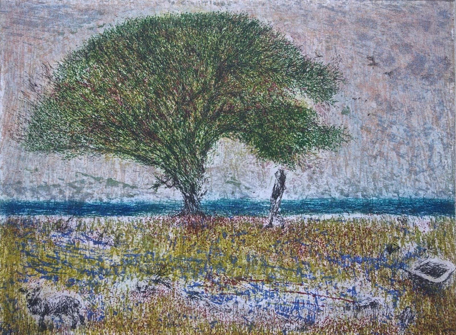 Wondertree between the Ocean And a Bathtub