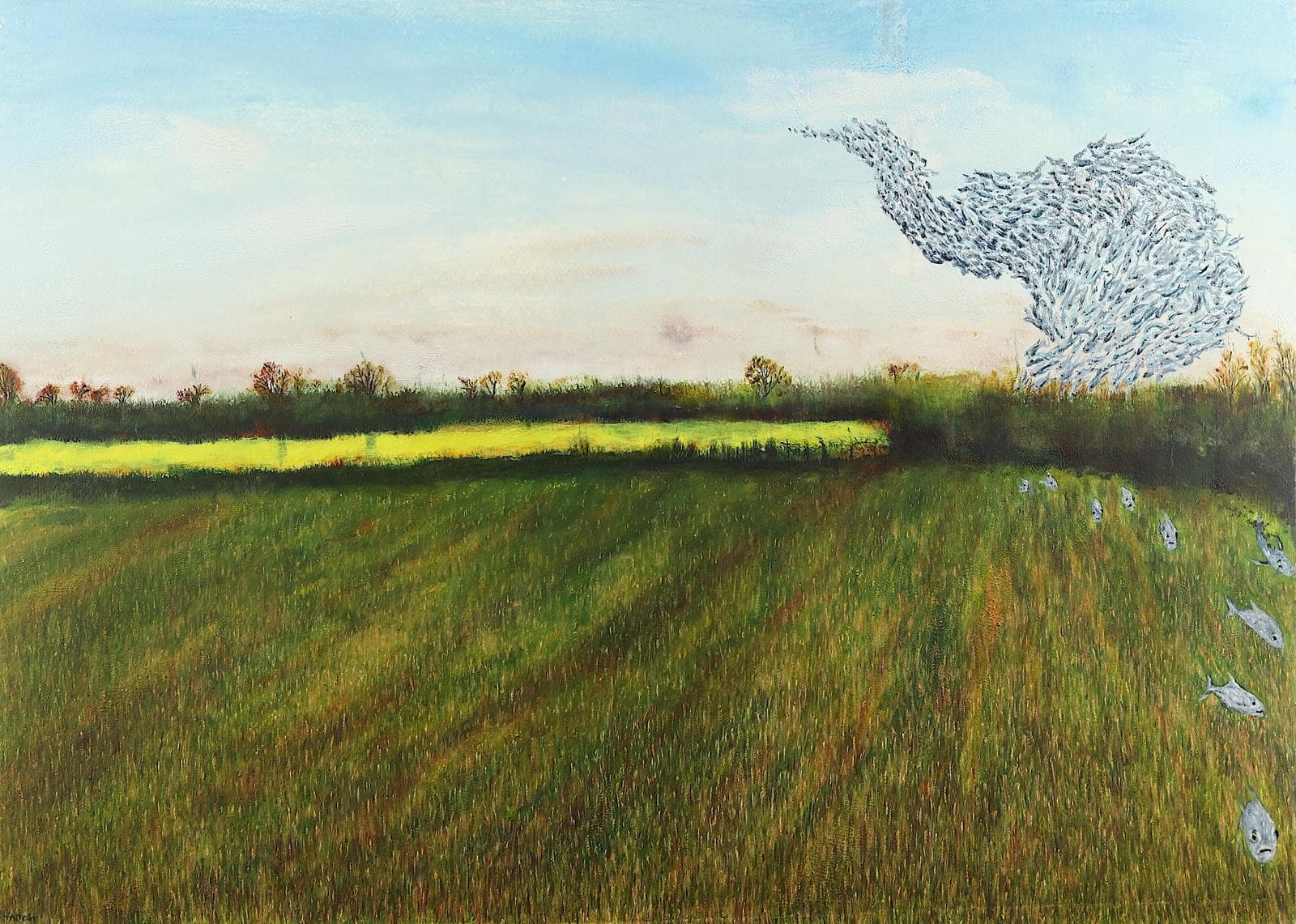 Fishstorm Over Rapeseed Field