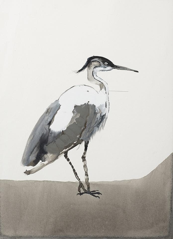 Heron