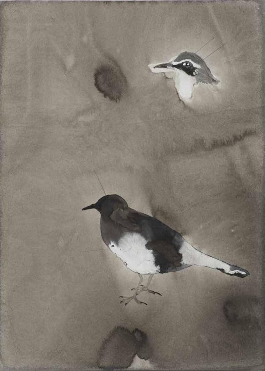 Lark