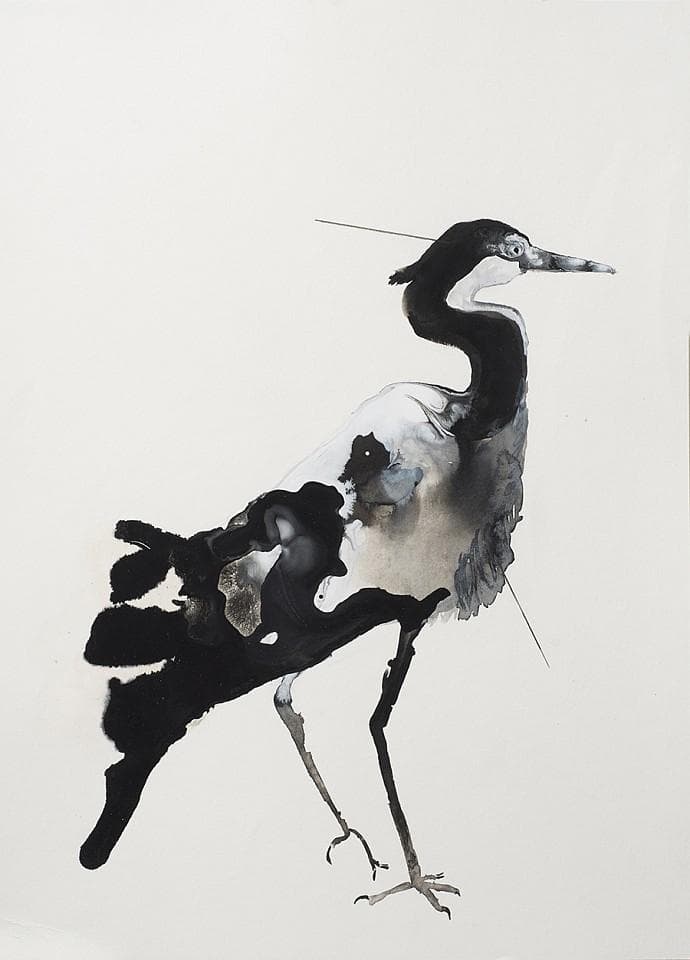 Heron